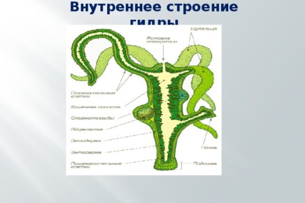 Kraken сайт зеркала krakens15 at