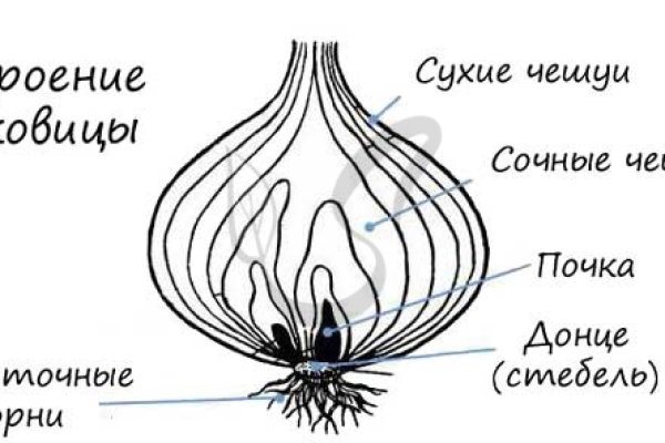 Кракен ссылка онион зеркало