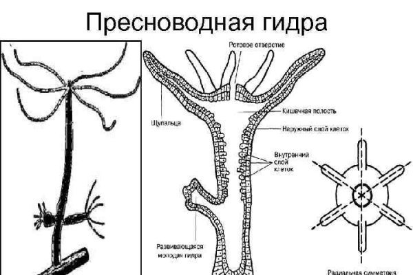 Кракен сайт зеркало рабочее